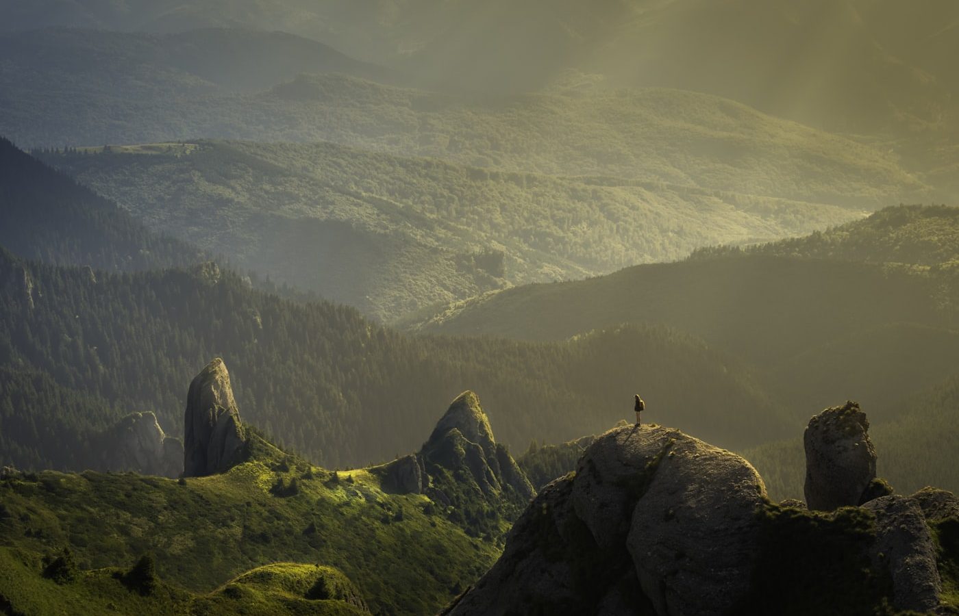 Naturaleza y tranquilidad como parte del proceso terapéutico