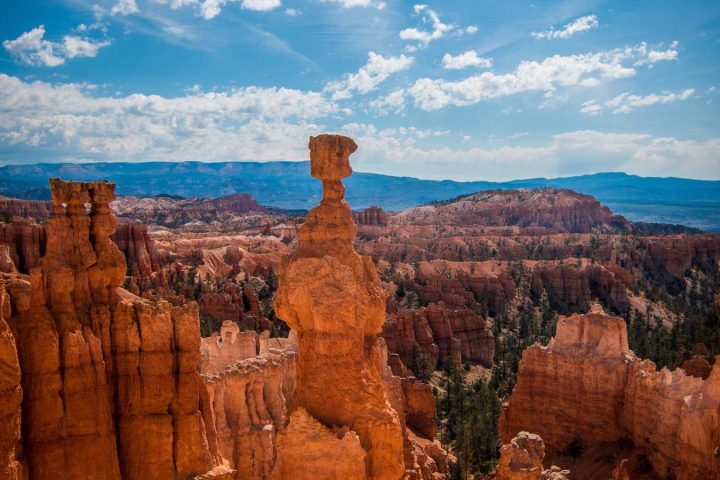 Persona reflexionando en un entorno natural, parte del proceso de recuperación