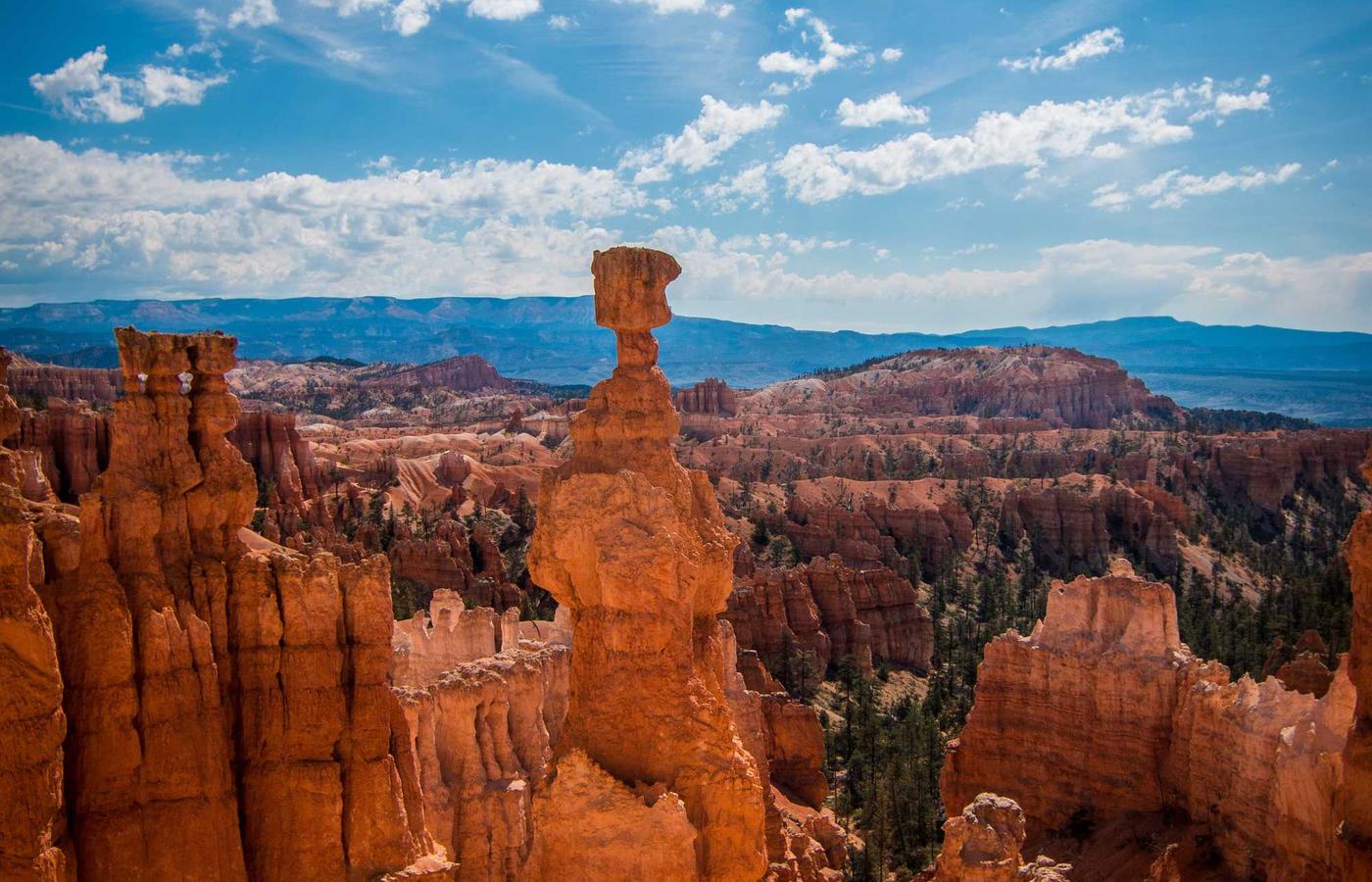 Persona reflexionando en un entorno natural, parte del proceso de recuperación